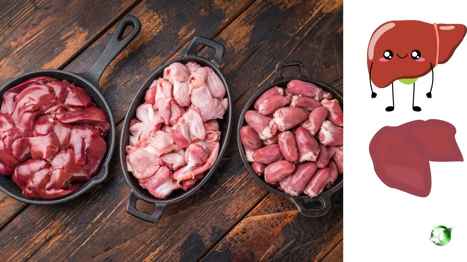 Supply partner evaluation for Chicken Liver should cover specification, packaging, paperwork, logistics, and complete delivered expense.